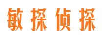 驿城侦探公司